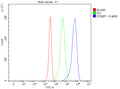 Flow Cytometry analysis of Jurkat cells using anti-DTNBP1 antibody. Overlay histogram showing Jurkat cells stained with (Blue line). To facilitate intracellular staining, cells were fixed with 4% paraformaldehyde and permeabilized with permeabilization buffer. The cells were blocked with 10% normal goat serum. And then incubated with rabbit anti-DTNBP1 antibody (1 ug/million cells) for 30 min at 20oC.