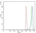 Flow cytometry testing of human HeLa cells with Glutathione Peroxidase 4 antibody at 1ug/million cells (blocked with goat sera); Red=cells alone, Green=isotype control, Blue= Glutathione Peroxidase 4 antibody.