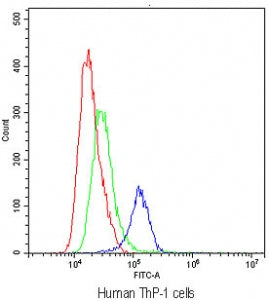 Flow cytometry testing of human ThP-1 cells with TLR1 antibody at 1ug/10^6 cells (blocked with goat sera); Red=cells alone, Green=isotype control, Blue=TLR1 antibody.
