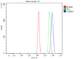 Flow Cytometry analysis of U20S cells using anti-CD300A antibody. Overlay histogram showing U20S cells stained with (Blue line). The cells were fixed with 4% paraformaldehyde and blocked with 10% normal goat serum. And then incubated with rabbit anti-CD300A antibody (1 ug/million cells) for 30 min at 20oC. DyLight 488 conjugated goat anti-rabbit IgG (5-10 ug/million cells) was used as secondary antibody for 30 min at 20oC.