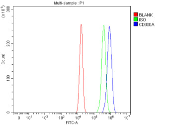 Flow Cytometry analysis of U20S cells using anti-CD300A antibody. Overlay histogram showing U20S cells stained with (Blue line). The cells were fixed with 4% paraformaldehyde and blocked with 10% normal goat serum. And then incubated with rabbit anti-CD300A antibody (1 ug/million cells) for 30 min at 20oC. DyLight 488 conjugated goat anti-rabbit IgG (5-10 ug/million cells) was used as secondary antibody for 30 min at 20oC.