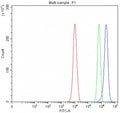 Flow cytometry testing of fixed and permeabilized human PC-3 cells with PCDHA13 antibody at 1ug/million cells (blocked with goat sera); Red=cells alone, Green=isotype control, Blue= PCDHA13 antibody.