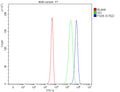 Flow Cytometry analysis of 293T cells using anti-FGD5 antibody. Overlay histogram showing 293T cells stained with (Blue line). To facilitate intracellular staining, cells were fixed with 4% paraformaldehyde and permeabilized with permeabilization buffer. The cells were blocked with 10% normal goat serum. And then incubated with rabbit anti-FGD5 antibody (1 ug/million cells) for 30 min at 20oC.