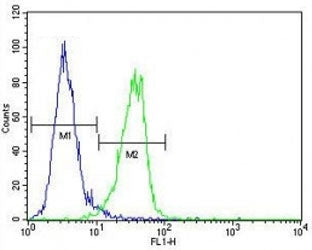 MeCP2 antibody flow cytometric analysis of MDA-MB435 cells (green) compared to a negative control (blue). FITC-conjugated goat-anti-rabbit secondary Ab was used for the analysis.