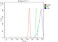 Flow Cytometry analysis of HepG2 cells using anti-IFI30 antibody. Overlay histogram showing HepG2 cells stained with (Blue line). The cells were fixed with 4% paraformaldehyde and blocked with 10% normal goat serum. And then incubated with rabbit anti-IFI30 antibody (1 ug/million cells) for 30 min at 20oC. DyLight 488 conjugated goat anti-rabbit IgG (5-10 ug/million cells) was used as secondary antibody for 30 min at 20oC.