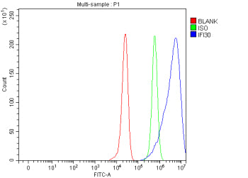 Flow Cytometry analysis of HepG2 cells using anti-IFI30 antibody. Overlay histogram showing HepG2 cells stained with (Blue line). The cells were fixed with 4% paraformaldehyde and blocked with 10% normal goat serum. And then incubated with rabbit anti-IFI30 antibody (1 ug/million cells) for 30 min at 20oC. DyLight 488 conjugated goat anti-rabbit IgG (5-10 ug/million cells) was used as secondary antibody for 30 min at 20oC.
