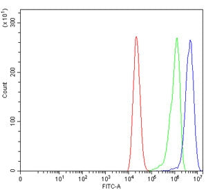 Flow cytometry testing of human Caco-2 cells with DNMT3B antibody at 1ug/million cells (blocked with goat sera); Red=cells alone, Green=isotype control, Blue= DNMT3B antibody.