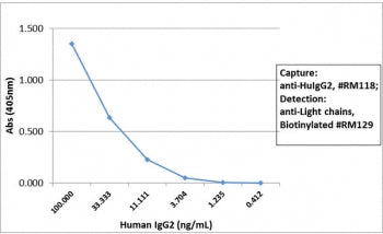 Sandwich ELISA with human IgG2 using recombinant Human IgG2 antibody as the capture, and <a href=../tds/recombinant-human-ig-light-chains-antibody-rabbit-monoclonal-r20180btn>biotinylated anti-human light chains (kappa+lambda) antibody RM129</a> as the detect, followed by an AP conjugated streptavidin.