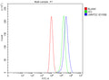 Flow Cytometry analysis of CACO-2 cells using anti-LMNTD2 antibody. Overlay histogram showing CACO-2 cells stained with (Blue line). To facilitate intracellular staining, cells were fixed with 4% paraformaldehyde and permeabilized with permeabilization buffer. The cells were blocked with 10% normal goat serum. And then incubated with rabbit anti-LMNTD2 antibody (1 ug/million cells) for 30 min at 20oC.
