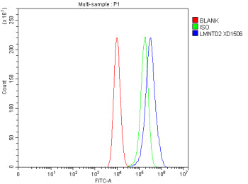 Flow Cytometry analysis of CACO-2 cells using anti-LMNTD2 antibody. Overlay histogram showing CACO-2 cells stained with (Blue line). To facilitate intracellular staining, cells were fixed with 4% paraformaldehyde and permeabilized with permeabilization buffer. The cells were blocked with 10% normal goat serum. And then incubated with rabbit anti-LMNTD2 antibody (1 ug/million cells) for 30 min at 20oC.