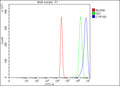 Flow Cytometry analysis of THP-1 cells using anti-CYP1B1 antibody. Overlay histogram showing THP-1 cells stained with (Blue line). To facilitate intracellular staining, cells were fixed with 4% paraformaldehyde and permeabilized with permeabilization buffer. The cells were blocked with 10% normal goat serum. And then incubated with rabbit anti-CYP1B1 antibody (1 ug/million cells) for 30 min at 20oC.