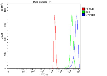 Flow Cytometry analysis of THP-1 cells using anti-CYP1B1 antibody. Overlay histogram showing THP-1 cells stained with (Blue line). To facilitate intracellular staining, cells were fixed with 4% paraformaldehyde and permeabilized with permeabilization buffer. The cells were blocked with 10% normal goat serum. And then incubated with rabbit anti-CYP1B1 antibody (1 ug/million cells) for 30 min at 20oC.