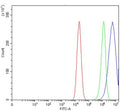Flow cytometry testing of human Caco-2 cells with Caspase-9 antibody at 1ug/million cells (blocked with goat sera); Red=cells alone, Green=isotype control, Blue= Caspase-9 antibody.