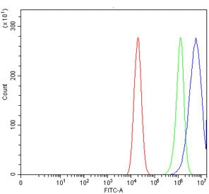 Flow cytometry testing of human Caco-2 cells with Caspase-9 antibody at 1ug/million cells (blocked with goat sera); Red=cells alone, Green=isotype control, Blue= Caspase-9 antibody.