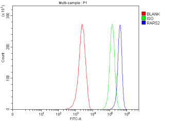 Flow Cytometry analysis of MCF-7 cells using anti-RARS2 antibody. Overlay histogram showing MCF-7 cells stained with (Blue line). To facilitate intracellular staining, cells were fixed with 4% paraformaldehyde and permeabilized with permeabilization buffer. The cells were blocked with 10% normal goat serum. And then incubated with rabbit anti-RARS2 antibody (1 ug/million cells) for 30 min at 20oC.