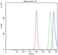 Flow cytometry testing of fixed and permeabilized human PC-3 cells with SIM2 antibody at 1ug/million cells (blocked with goat sera); Red=cells alone, Green=isotype control, Blue= SIM2 antibody.