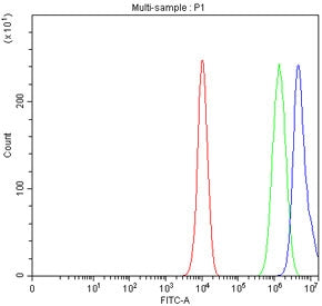 Flow cytometry testing of fixed and permeabilized human PC-3 cells with SIM2 antibody at 1ug/million cells (blocked with goat sera); Red=cells alone, Green=isotype control, Blue= SIM2 antibody.