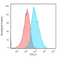 Glypican 3 antibody (clone SPM595) used to staining PFA-fixed human HepG2 cells.