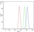 Flow cytometry testing of human U-87 MG cells with Sarcosine dehydrogenase antibody at 1ug/million cells (blocked with goat sera); Red=cells alone, Green=isotype control, Blue= Sarcosine dehydrogenase antibody.