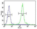 IL-12B antibody flow cytometric analysis of MDA-MB435 cells (green) compared to a negative control (blue). FITC-conjugated goat-anti-rabbit secondary Ab was used for the analysis.