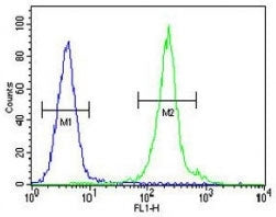 IL-12B antibody flow cytometric analysis of MDA-MB435 cells (green) compared to a negative control (blue). FITC-conjugated goat-anti-rabbit secondary Ab was used for the analysis.