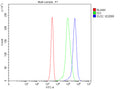 Flow Cytometry analysis of Jurkat cells using anti-SV2C antibody. Overlay histogram showing Jurkat cells stained with (Blue line). To facilitate intracellular staining, cells were fixed with 4% paraformaldehyde and permeabilized with permeabilization buffer. The cells were blocked with 10% normal goat serum. And then incubated with rabbit anti-SV2C antibody (1 ug/million cells) for 30 min at 20oC.