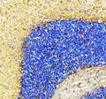 IHC staining of mouse cerebellum tissue with GAT-1 antibody, HRP-secondary and DAB substrate. Strong membrane associated brown labeling is observed along the periphery of the granular layer and in scattered neuronal processes, consistent with the expected distribution of the GABA transporter GAT-1. Hematoxylin counterstain shows nuclei in blue.