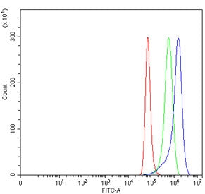 Flow cytometry testing of human HeLa cells with TGF beta Receptor III antibody at 1ug/million cells (blocked with goat sera); Red=cells alone, Green=isotype control, Blue= TGF beta Receptor III antibody.