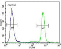 Flow cytometry testing of human HeLa cells with MAPK3 antibody; Blue=isotype control, Green= MAPK3 antibody.