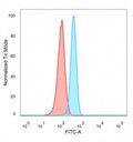 FACS staining of PFA-fixed human HeLa cells with MITF antibody (blue, clone PCRP-MITF-1D9) and isotype control (red).