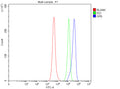 Flow Cytometry analysis of RAW264.7 cells using anti-GP6 antibody. Overlay histogram showing RAW264.7 cells stained with (Blue line). The cells were fixed with 4% paraformaldehyde and blocked with 10% normal goat serum. And then incubated with rabbit anti-GP6 antibody (1 ug/million cells) for 30 min at 20oC. DyLight 488 conjugated goat anti-rabbit IgG (5-10 ug/million cells) was used as secondary antibody for 30 min at 20oC.