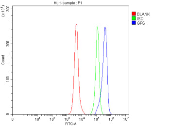 Flow Cytometry analysis of RAW264.7 cells using anti-GP6 antibody. Overlay histogram showing RAW264.7 cells stained with (Blue line). The cells were fixed with 4% paraformaldehyde and blocked with 10% normal goat serum. And then incubated with rabbit anti-GP6 antibody (1 ug/million cells) for 30 min at 20oC. DyLight 488 conjugated goat anti-rabbit IgG (5-10 ug/million cells) was used as secondary antibody for 30 min at 20oC.