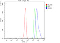 Flow Cytometry analysis of human JK cells using anti-SNTB1 antibody. Overlay histogram showing JK cells stained with (Blue line). To facilitate intracellular staining, cells were fixed with 4% paraformaldehyde and permeabilized with permeabilization buffer. The cells were blocked with 10% normal goat serum. And then incubated with rabbit anti-SNTB1 antibody (1 ug/million cells) for 30 min at 20oC.