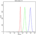 Flow cytometry testing of human Jurkat cells with CD5 antibody at 1ug/million cells (blocked with goat sera); Red=cells alone, Green=isotype control, Blue= CD5 antibody.