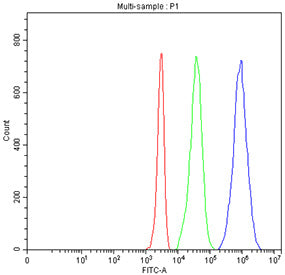 Flow cytometry testing of human Jurkat cells with CD5 antibody at 1ug/million cells (blocked with goat sera); Red=cells alone, Green=isotype control, Blue= CD5 antibody.