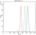 Flow cytometry analysis of fixed human SH-SY5Y cells with PDGFRB antibody at 1ug/million cells (blocked with goat sera); Red=cells alone, Green=isotype control, Blue= PDGFRB antibody.
