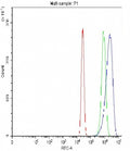 Flow cytometry testing of fixed and permeabilized human A431 cells with Oct4 antibody at 1ug/million cells (blocked with goat sera); Red=cells alone, Green=isotype control, Blue= Oct4 antibody.