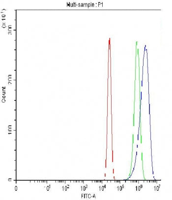 Flow cytometry testing of fixed and permeabilized human A431 cells with Oct4 antibody at 1ug/million cells (blocked with goat sera); Red=cells alone, Green=isotype control, Blue= Oct4 antibody.