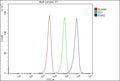 Flow Cytometry analysis of MCF-7 cells using anti-EGR2 antibody. Overlay histogram showing MCF-7 cells stained with (Blue line). To facilitate intracellular staining, cells were fixed with 4% paraformaldehyde and permeabilized with permeabilization buffer. The cells were blocked with 10% normal goat serum. And then incubated with rabbit anti-EGR2 antibody (1 ug/million cells) for 30 min at 20oC.
