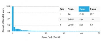 Analysis of a HuProt(TM) microarray containing more than 19,000 full-length human proteins using Secretogranin I antibody (clone CHGB/4560). Z- and S- Score: The Z-score represents the strength of a signal that a monoclonal antibody (in combination with a fluorescently-tagged anti-IgG secondary antibody) produces when binding to a particular protein on the HuProt(TM) array. Z-scores are described in units of standard deviations (SD's) above the mean value of all signals generated on that array.
