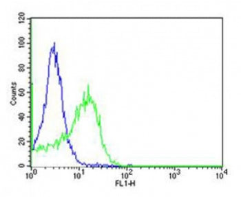 Flow cytometric analysis of HT-29 cells using anti-CD34 antibody (green) compared to an isotype control of rabbit IgG (blue). Ab was diluted at 1:25 dilution. An Alexa Fluor 488 goat anti-rabbit lgG was used as the secondary Ab.