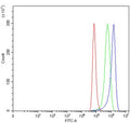 Flow cytometry testing of human HeLa cells with SNCG antibody at 1ug/million cells (blocked with goat sera); Red=cells alone, Green=isotype control, Blue= SNCG antibody.