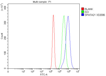Flow Cytometry analysis of RT4 cells using anti-SPATA21 antibody. Overlay histogram showing RT4 cells stained with (Blue line). To facilitate intracellular staining, cells were fixed with 4% paraformaldehyde and permeabilized with permeabilization buffer. The cells were blocked with 10% normal goat serum. And then incubated with rabbit anti-SPATA21 antibody (1 ug/million cells) for 30 min at 20oC.