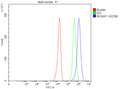 Flow cytometry analysis of fixed and permeabilized human U251 cells with NUSAP1 antibody at 1ug/million cells (blocked with goat sera); Red=cells alone, Green=isotype control, Blue= NUSAP1 antibody.