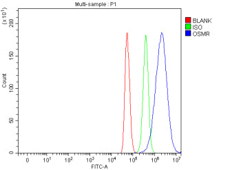 Flow Cytometry analysis of C2C12 cells using anti-Osmr antibody. Overlay histogram showing C2C12 cells stained with (Blue line). The cells were fixed with 4% paraformaldehyde and blocked with 10% normal goat serum. And then incubated with rabbit anti-Osmr antibody (1 ug/million cells) for 30 min at 20oC. DyLight 488 conjugated goat anti-rabbit IgG (5-10 ug/million cells) was used as secondary antibody for 30 min at 20oC.