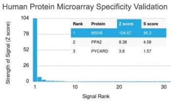 Analysis of HuProt(TM) microarray containing more than 19,000 full-length human proteins using BRCA-1 antibody (clone BRCA1/2973). These results demonstrate the foremost specificity of the BRCA1/2973 mAb. Z- and S- Score: The Z-score represents the strength of a signal that a monoclonal antibody (clone MAb) (in combination with a fluorescently-tagged anti-IgG secondary antibody) produces when binding to a particular protein on the HuProt(TM) array.