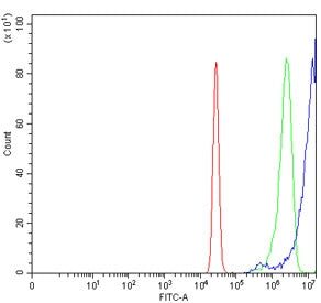 Flow cytometry testing of human U-2 OS cells with NRBF2 antibody at 1ug/million cells (blocked with goat sera); Red=cells alone, Green=isotype control, Blue= NRBF2 antibody.