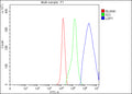 Flow Cytometry analysis of U937 cells using anti-LSP1 antibody. Overlay histogram showing U937 cells stained with (Blue line). The cells were fixed with 4% paraformaldehyde and blocked with 10% normal goat serum. And then incubated with rabbit anti-LSP1 antibody (1 ug/million cells) for 30 min at 20oC. DyLight 488 conjugated goat anti-rabbit IgG (5-10 ug/million cells) was used as secondary antibody for 30 min at 20oC.