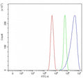 Flow cytometry testing of fixed and permeabilized human U-251 cells with PRDX2 antibody at 1ug/million cells (blocked with goat sera); Red=cells alone, Green=isotype control, Blue= PRDX2 antibody.