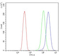 Flow cytometry testing of human HeLa cells with ATG7 antibody at 1ug/million cells (blocked with goat sera); Red=cells alone, Green=isotype control, Blue= ATG7 antibody.